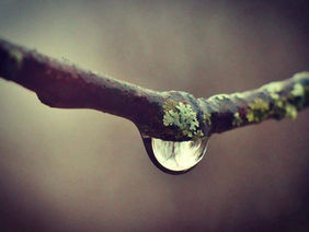 Elemental BEing and the Language of Nature