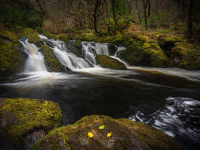 The Body of a River, The Body of a Human