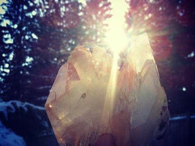 On Imaginal Cells and Trusting the Process