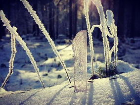 The Cycle of Form and Formless