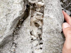 Seasonal Poetry & Prose: 'The Thing Is', by Ellen Bass