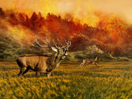 Irish Paganism Does Not Belong In The Past