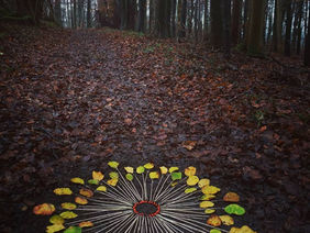 On the Gift of Wholeness