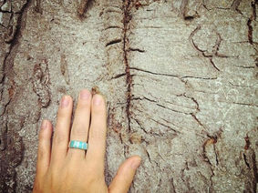 The Work of Winter: Touch and the Remembering of the Body