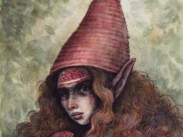 The Amanita Muscaria Elf