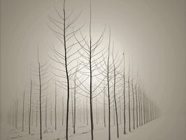 The Monastery Of Winter: On Path, And The Quiet Architecture Of Self