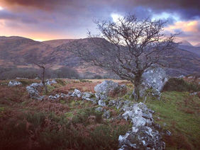 On the Path of Wholeness