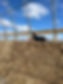 IMG_6148.jpeg