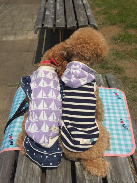 nonちゃん＆cooくん