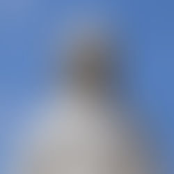 Obsèques de Marie Bozza
