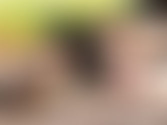 Le troupeau de nos misères