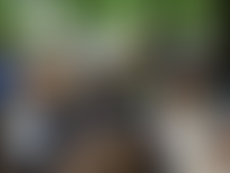 Eveil à la foi, Caté, Aumônerie, Servants, Scouts