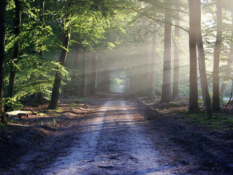 Obsèques d'Alain Toy-Riont