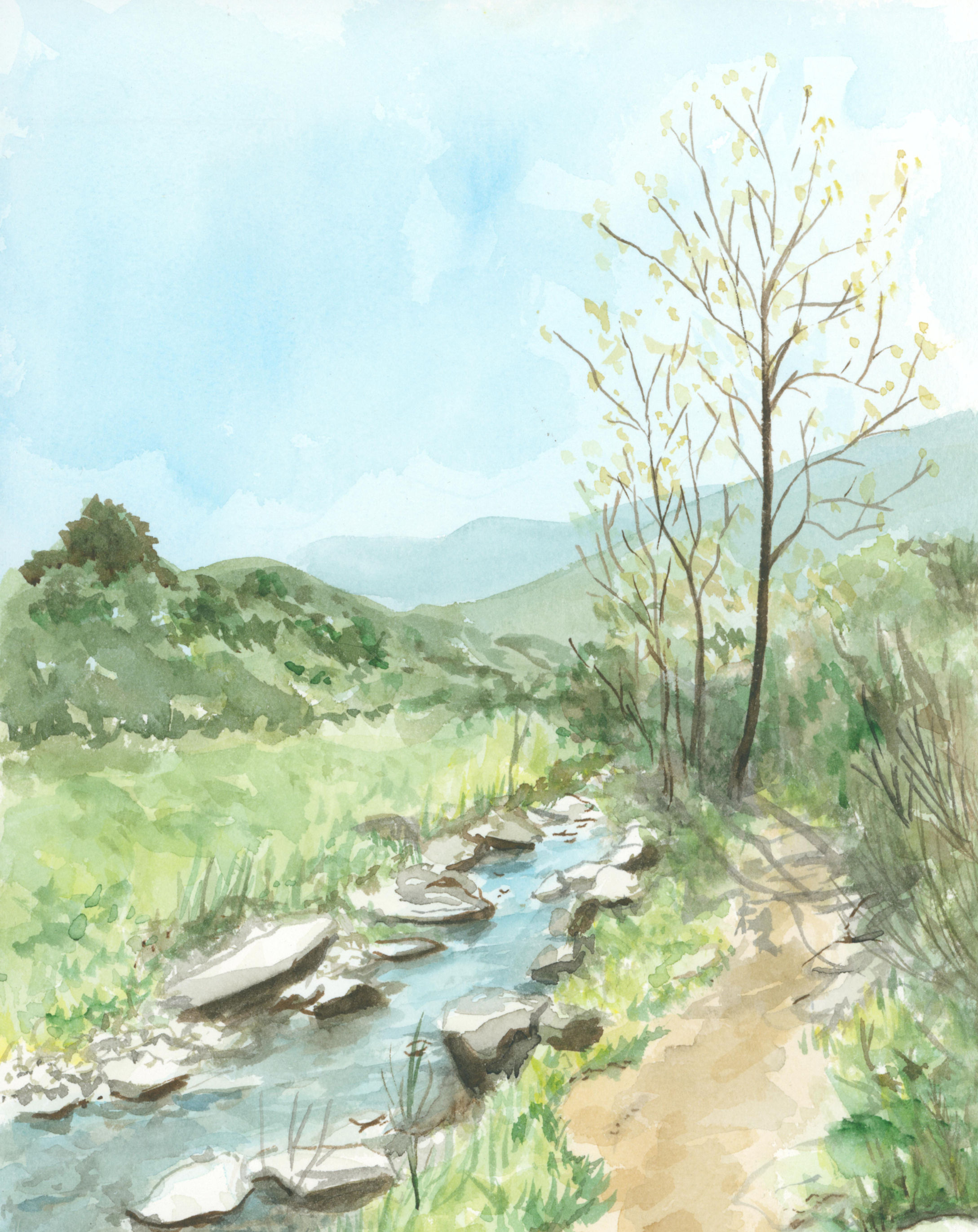 Mission Trails - print