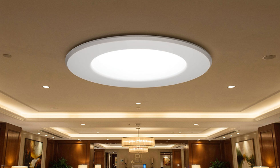 LED Ceiling Light Retrofit