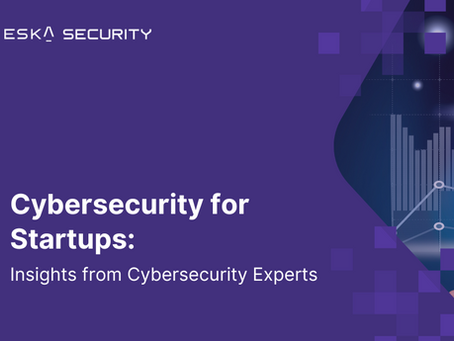 Cybersecurity for Startups: Insights from Cybersecurity Experts