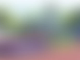 Super Saisonstart für Joel Riesen in Horw