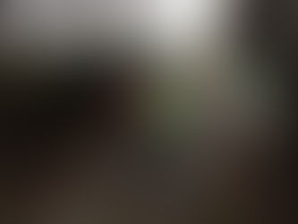 38. offene Liechtensteiner + Ostschweiz Athletics + SGTV - Crossmeisterschaften