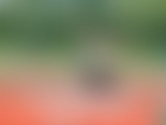 Jule Insinna gewinnt die Bronze Medaille an der Aktiven-SM in Zürich