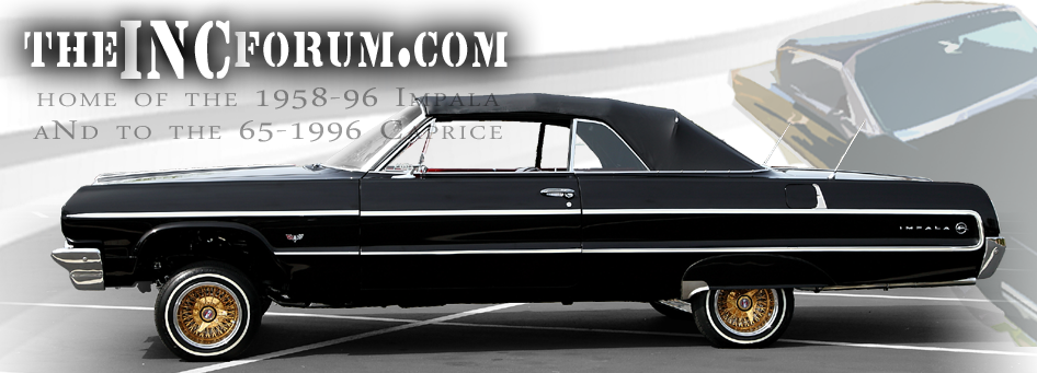 impala_caprice_masburg