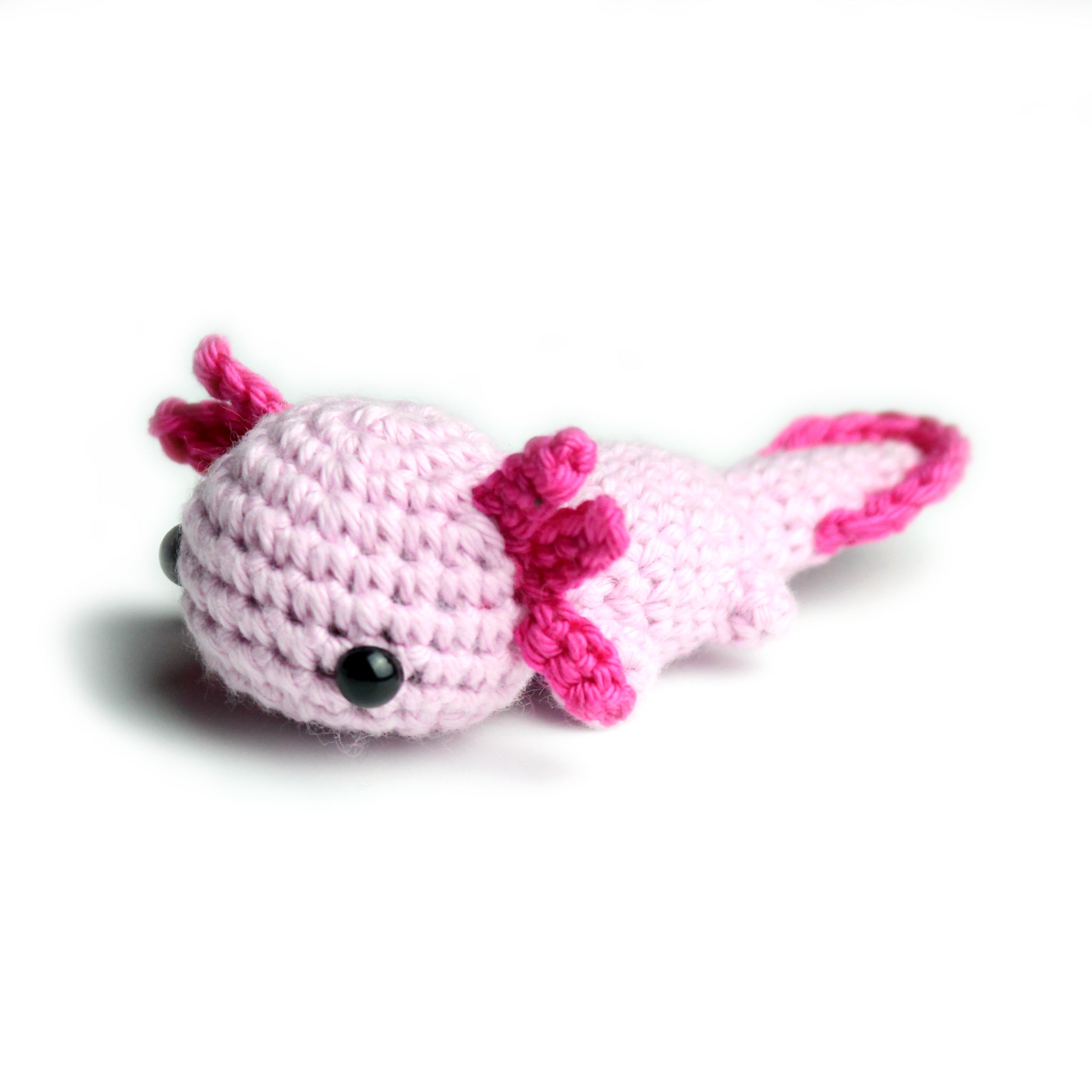 Axolotl