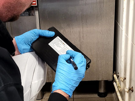 Meilleure entreprise de dératisation à Bordeaux