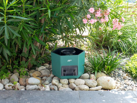 Lutte anti-moustiques sur le Bassin d’Arcachon : la solution professionnelle au gaz butane pour profiter enfin de vos extérieurs