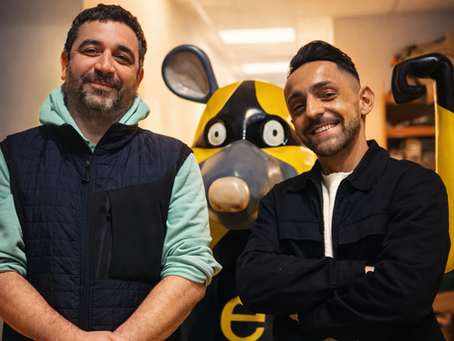 Traitement des pigeons au Pays basque : ERADIKTOU accompagne les professionnels face aux nuisances et aux risques sanitaires