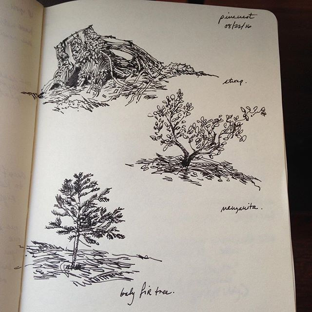 Little sketches from #pinecrestlake #stanislausriver