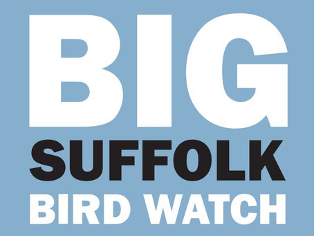 Big Suffolk Bird Watch - 21 June 2026