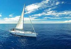 whale and dolphin watching tenerife