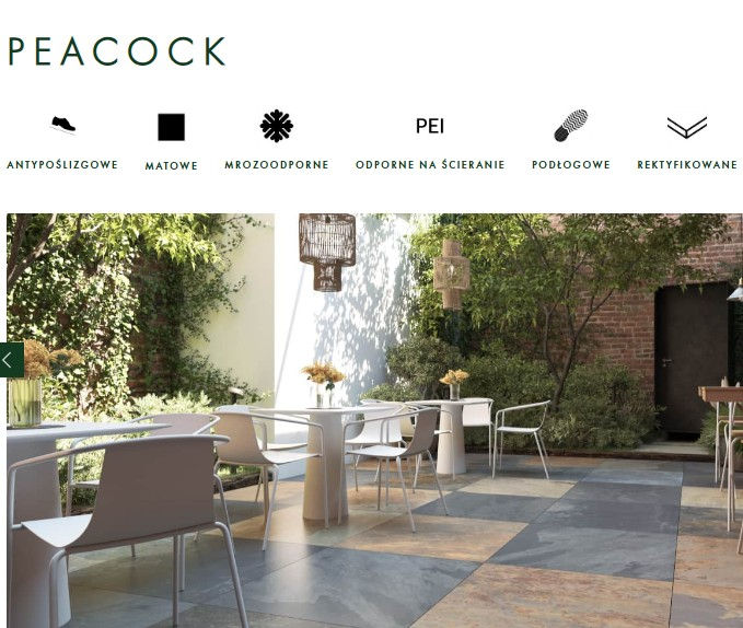 Miniatura: płyta tarasowa ZOYA  PEACOCK sand 60x60x2cm