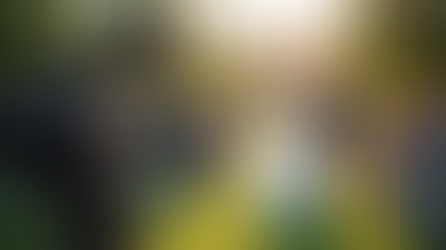 Plan Perfect Memories with New Jersey Wedding Videography Wedding Video Services