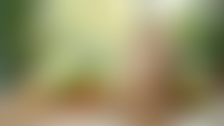 Exploring Plant-Based Packaging Solutions for a Greener Future