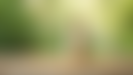 Your Guide to Buying Biodegradable Bottles Online: Biodegradable Bottle Shopping Tips