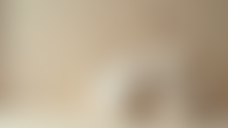 Top Places for Sustainable Bag Purchase Online