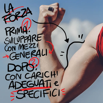 Allenamento della forza con sovraccarichi negli Sport da Combattimento. prima parte