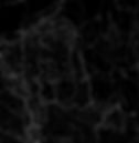 contourmapping_7.jpg