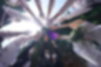 NKM03544_1580.jpg