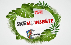 SKE MOINS BÊTE