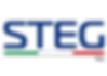 Steg logo