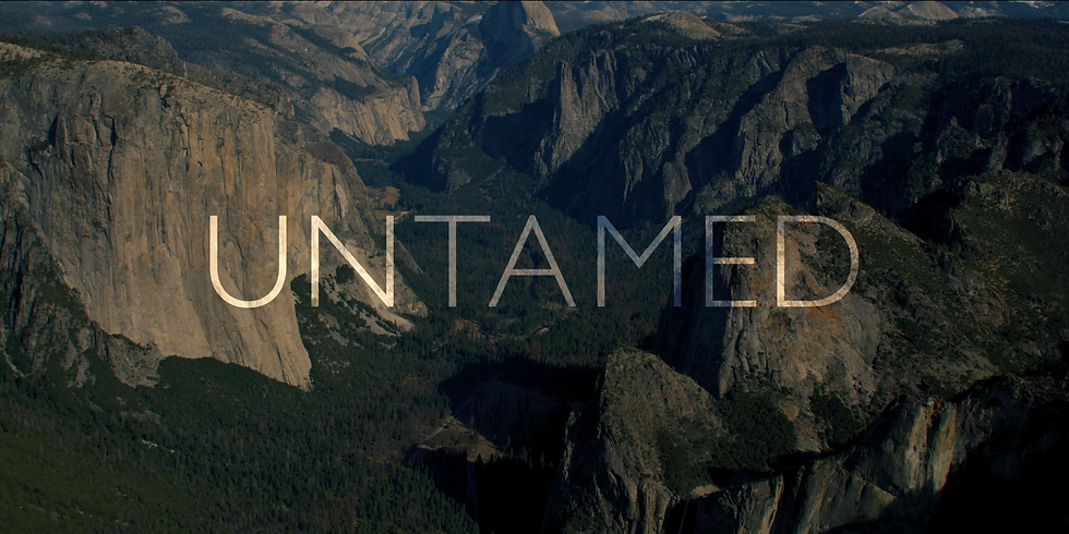 Titlecard Untamed image