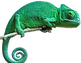 chameleon-png-hd-chameleon-png-pic-493.p