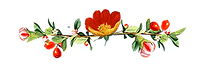 Blumen