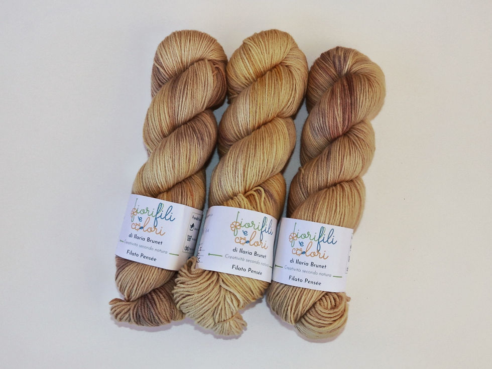 Filato Pensée sfumato beige