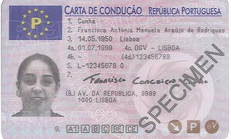 pt-pt7-recto-lr.jpg