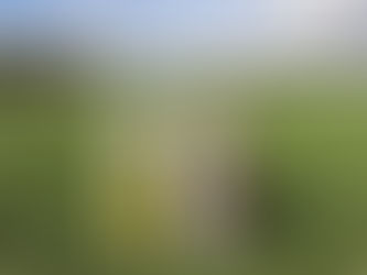 Gloucester Brewery Launch Party