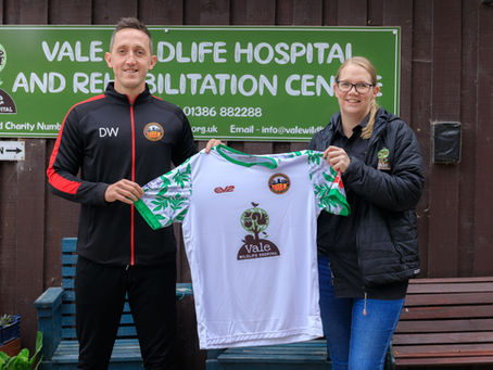 Partnership | City launch kit with charity partner Vale Wildlife Hospital