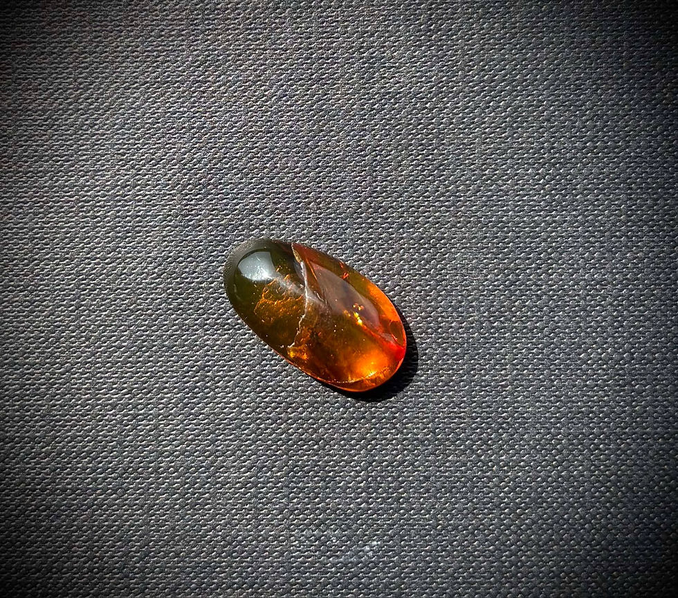 Ambre fossile, double inclusions préhistoriques