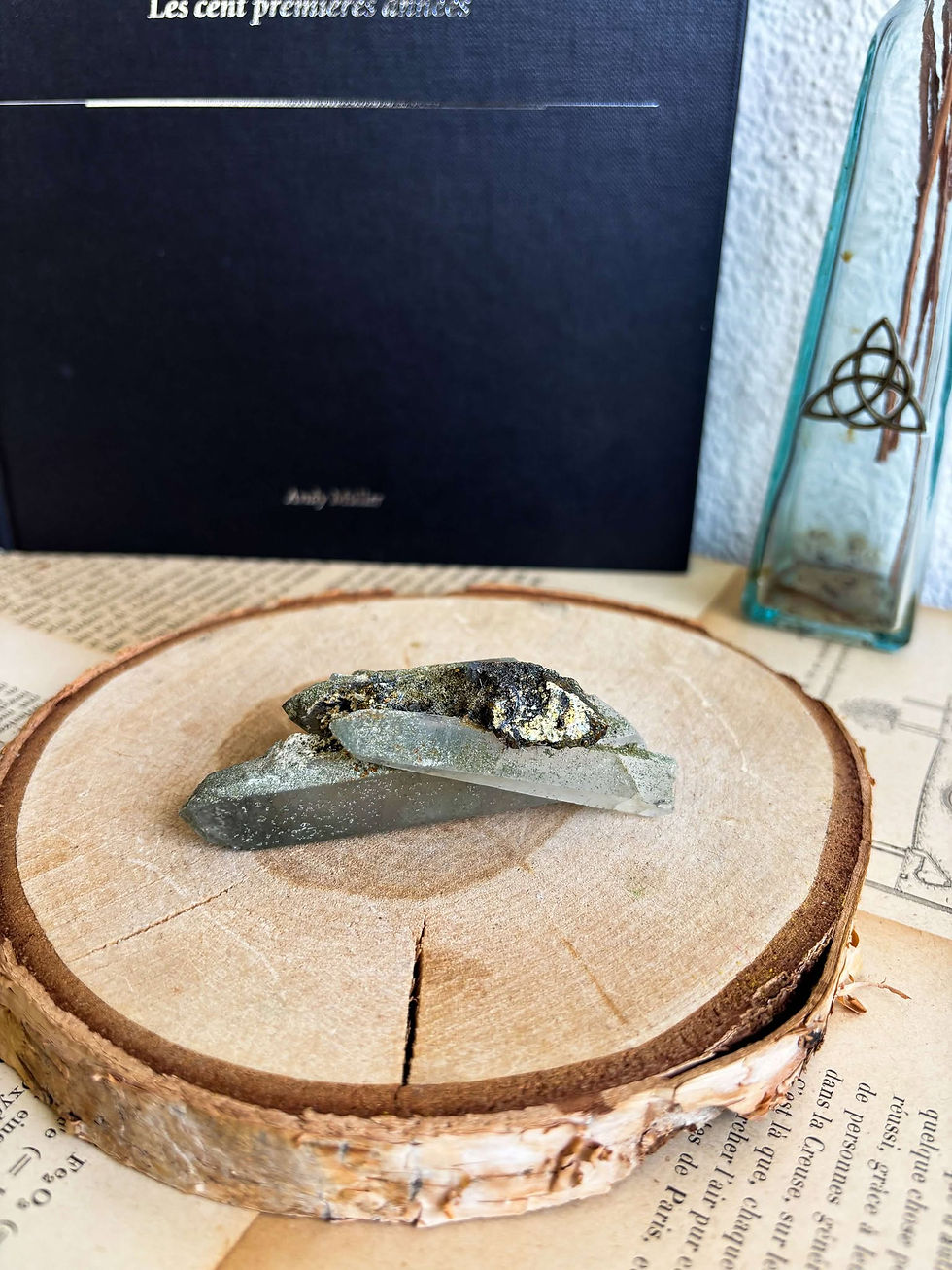 Wolframite, arsenopyrite sur quartz